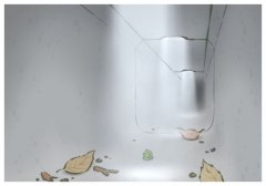 Swl,ʲô˼